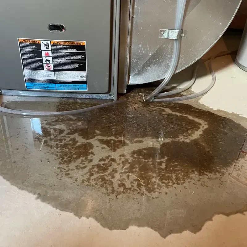 Appliance Leak Cleanup in Dayton, KY